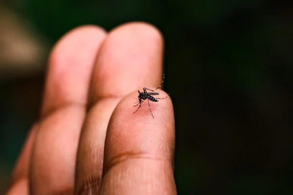 Una niña de 6 años murió por dengue en Ibagué