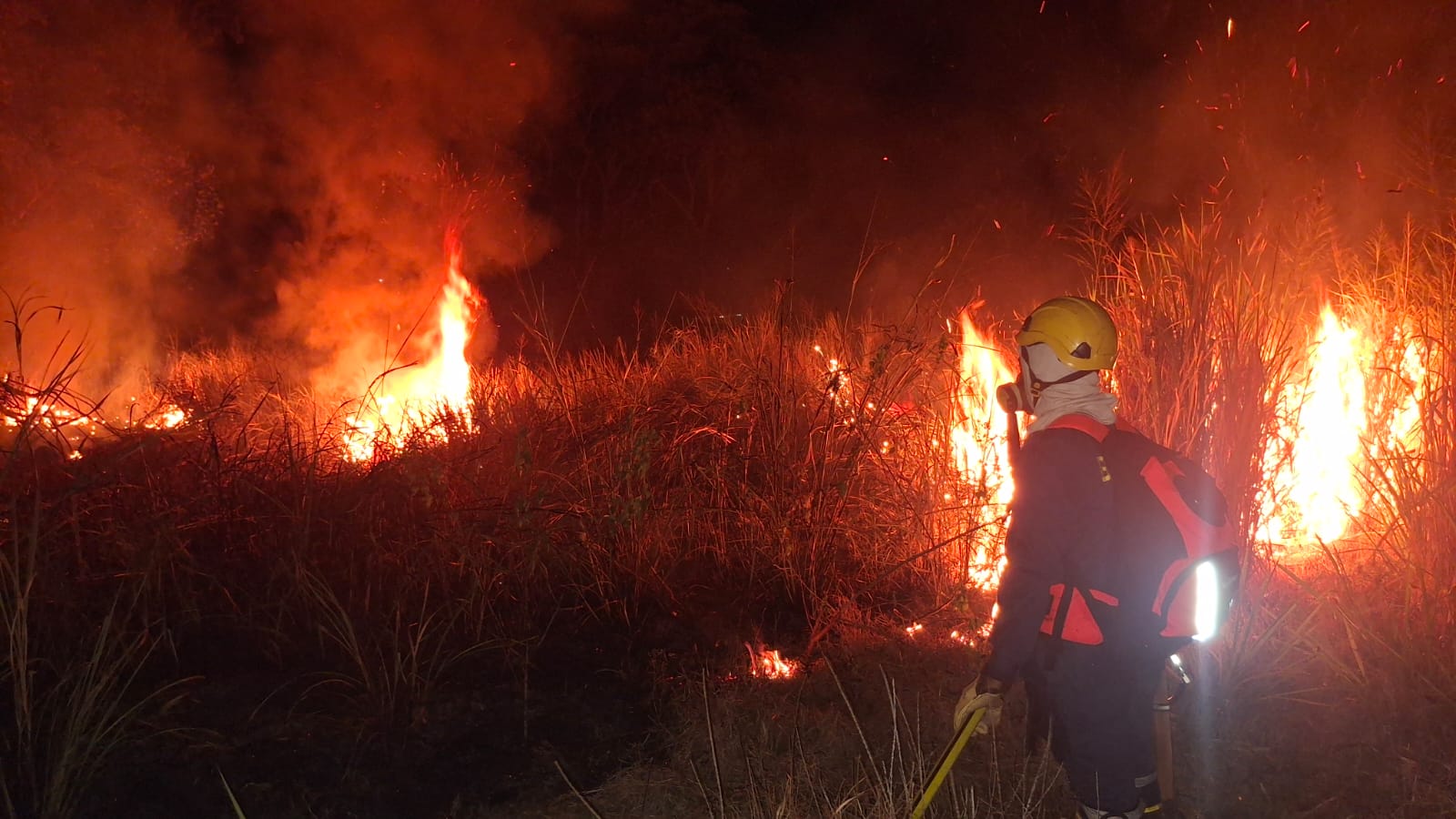 Bomberos sofocan dos incendios forestales en Ibagué: se quemaron cuatro hectáreas de pasto seco