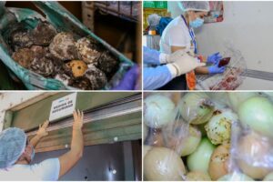 Cierre indefinido a fruver en Ibagué por plagas y alimentos en descomposición